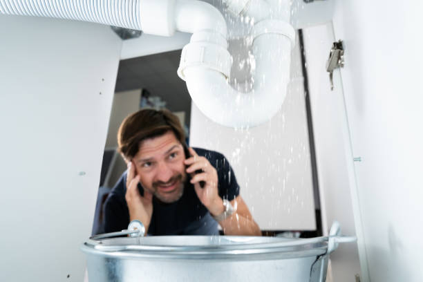 Best Clogged Drain Plumber  in Dexter, OR