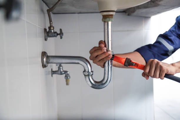 Best Clogged Drain Plumber  in Dexter, OR